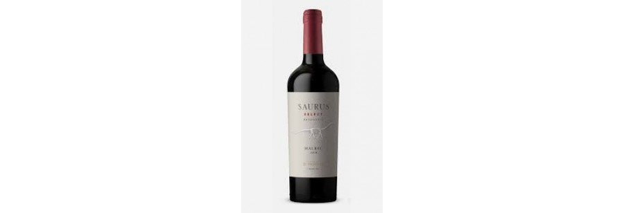 Saurus Patagonia Select Malbec